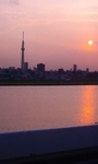 110629_1823~01.jpg